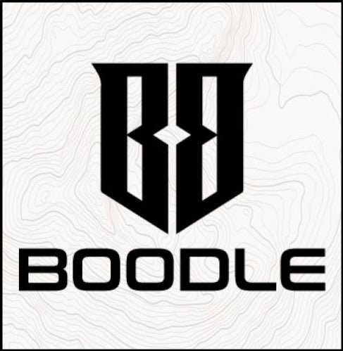 Why Did We Start Boodle?